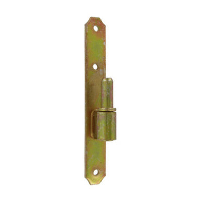 Q.TA' 24 CARDINE P/BANDELLA FERRO TROPICAL 24X180 MM