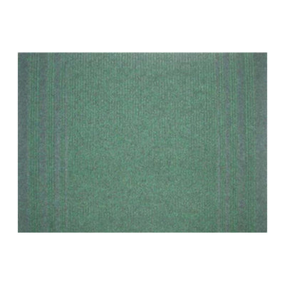 Q.TA' 30 PASSATOIA PASSAT H 67 CM VERDE