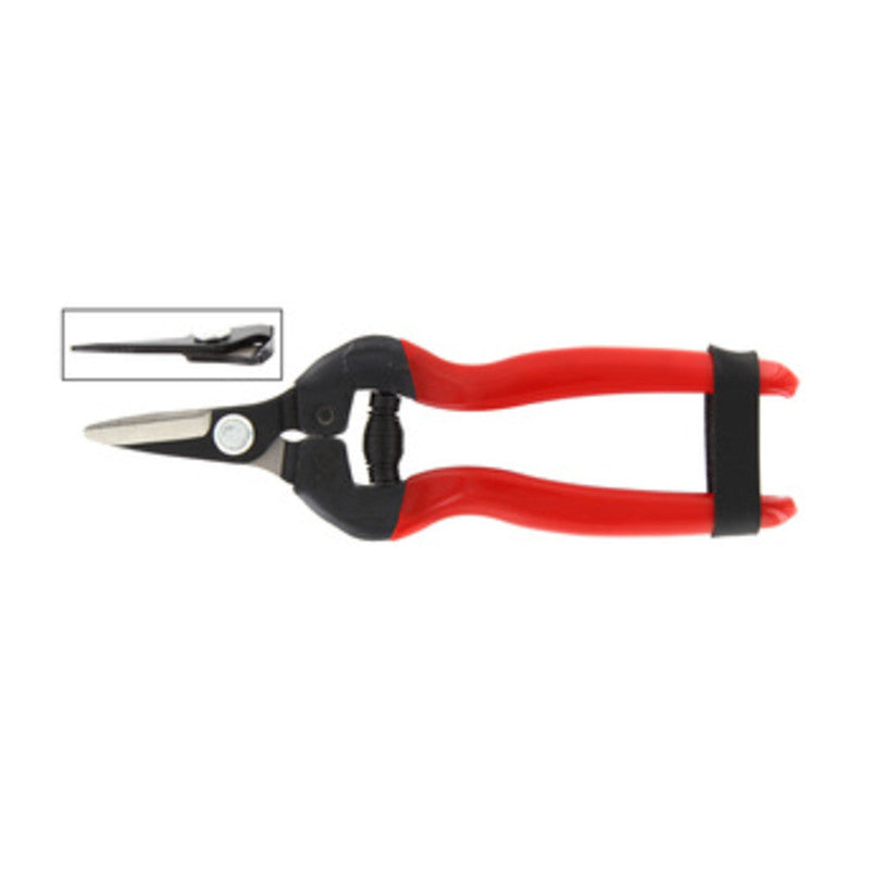 Q.TA' 1 FORBICI P/UVA LAME DRITTE CORTE PROFESSIONALE