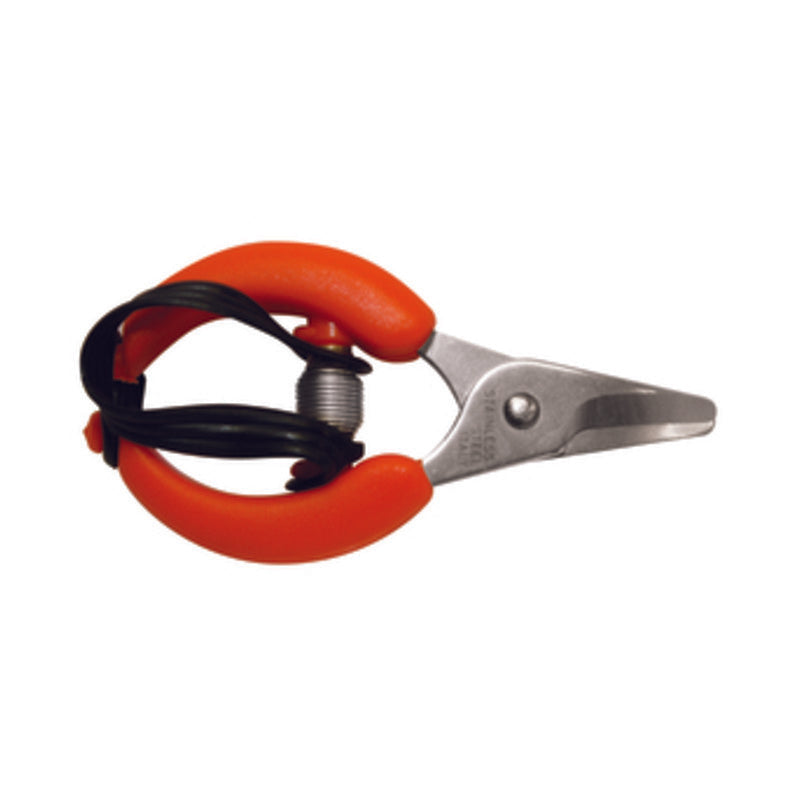 Q.TA' 6 FORBICI P/AGRUMI LAME INOX