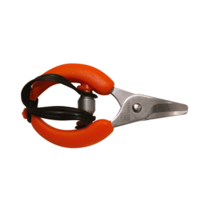 Q.TA' 6 FORBICI P/AGRUMI E UVA LAME INOX