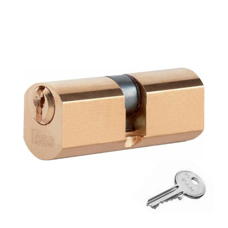 Q.TA' 1 ISEO F5 8400 CILINDRO TONDO 27-27 D22 OTTONATO C/3CH