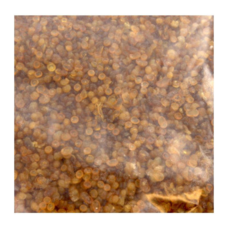 Q.TA' 1 COLLA A PERLINE P/RESTAURO 25 KG