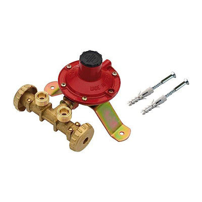 Q.TA' 1 CENTRALINA P/GAS A 2 RUBIN 10 KG/H S/FLESS MIGN*