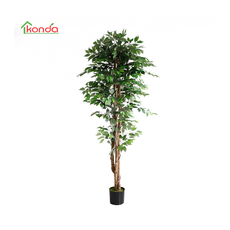 Q.TA' 2 C PIANTA FICUS ARTIFICIALE 210 CM