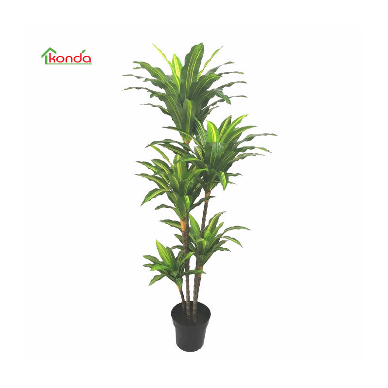 Q.TA' 2 C PIANTA DRACENA ARTIFICIALE 170 CM