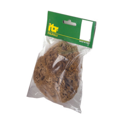 Q.TA' 1 SPUGNA MARINA NATURALE 14 CM P/PITTURE SM