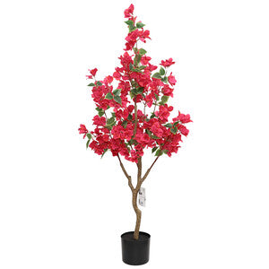 Q.TA' 2 C BOUGANVILLEA 120 CM