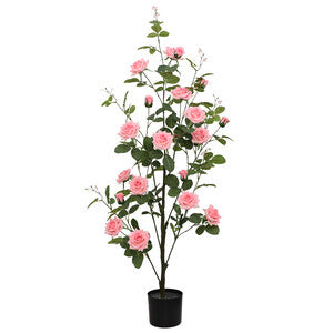 Q.TA' 2 C ROSA 130 CM
