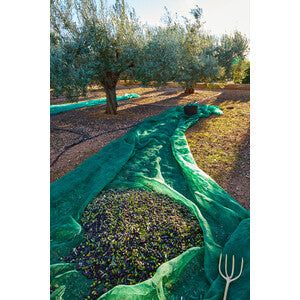 Q.TA' 1 C RETE P/OLIVE ANTISPINA 80G 6X12M