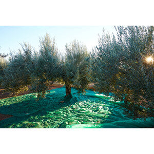 Q.TA' 1 C RETE P/OLIVE ANTISPINA 80G C/SPACCO 6X 6M