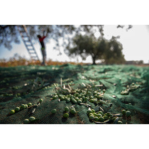 Q.TA' 1 C RETE P/OLIVE ANTISPINA 32G 4 X250M CALABRIA