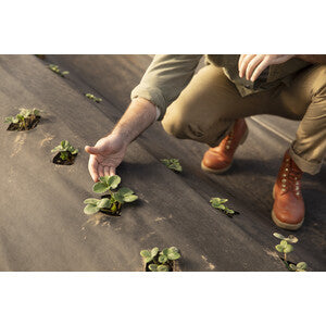 Q.TA' 1 C TELO PACCIAMATURA PP H 1,65X100M