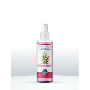 Q.TA' 12 SPRAY AMBIENTE OFFICINA DEI FIORI 150ML BACCHE ROS