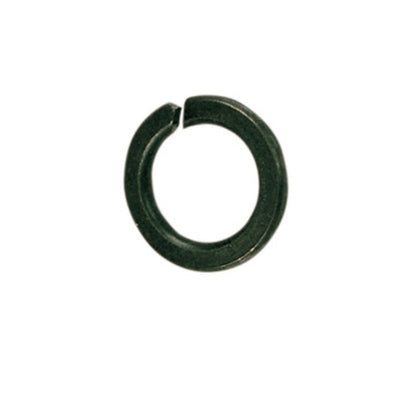 Q.TA' 1 SC RONDELLA GROWER D 16 MM DA 20