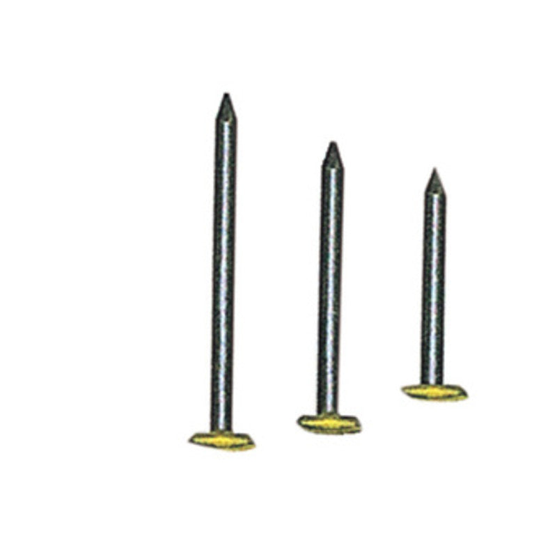 Q.TA' 10 SC CHIODI P/QUADRI TESTA RICOP OTT 2X20 MM 100 *