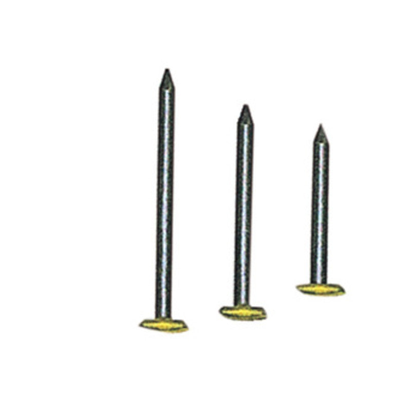 Q.TA' 10 SC CHIODI P/QUADRI TESTA RICOP OTT 2X25 MM 100 *