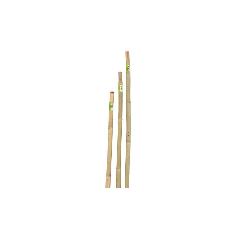 Q.TA' 1 CANNA IN BAMBOO D 22-24MMXH150CM