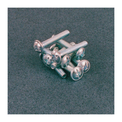 Q.TA' 5 SC VITI P/POMOLI T.B. LARGA D 4X40 MM 20