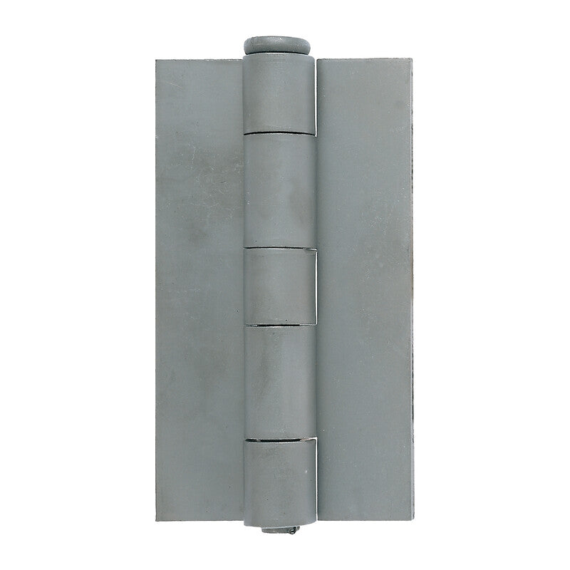 Q.TA' 10 CERNIERA P/FERRO EXTRA PESANTE 66X3,8X120 MM