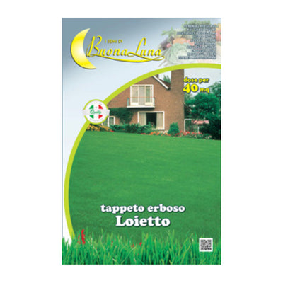 Q.TA' 1 SEMI PRATO LOIETTO 1 KG