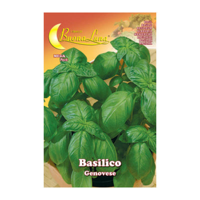 Q.TA' 10 SEMI ORTO BASILICO GENOVESE