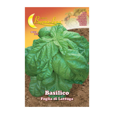 Q.TA' 10 SEMI ORTO BASILICO FOGLIA LATTUGA