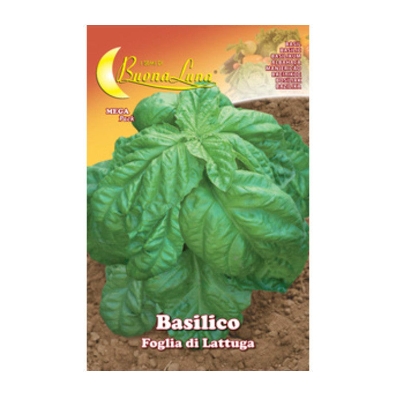 Q.TA' 10 SEMI ORTO BASILICO FOGLIA LATTUGA