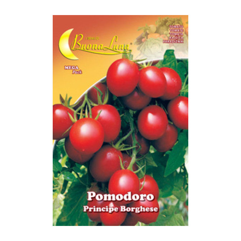 Q.TA' 10 SEMI ORTO POMODORO CILIEGINO