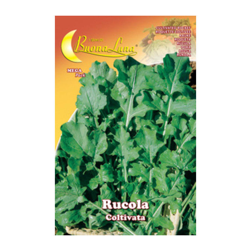 Q.TA' 10 SEMI ORTO RUCOLA COLTIVATA