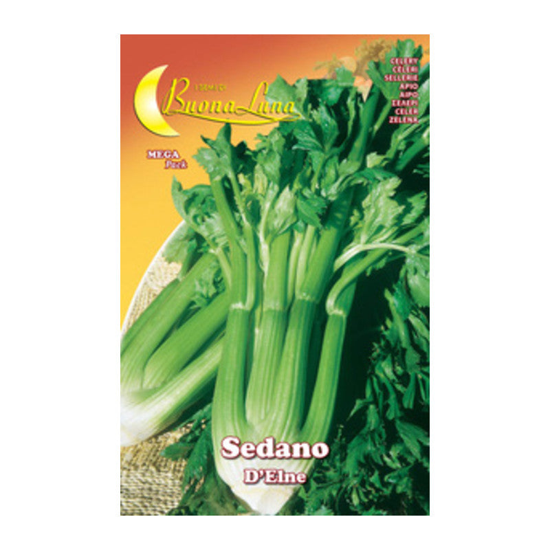 Q.TA' 10 SEMI ORTO SEDANO DELNE