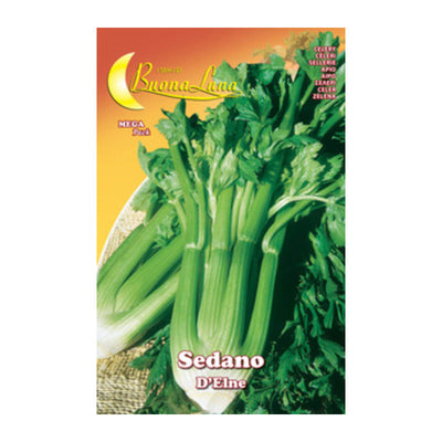 Q.TA' 10 SEMI ORTO SEDANO DELNE