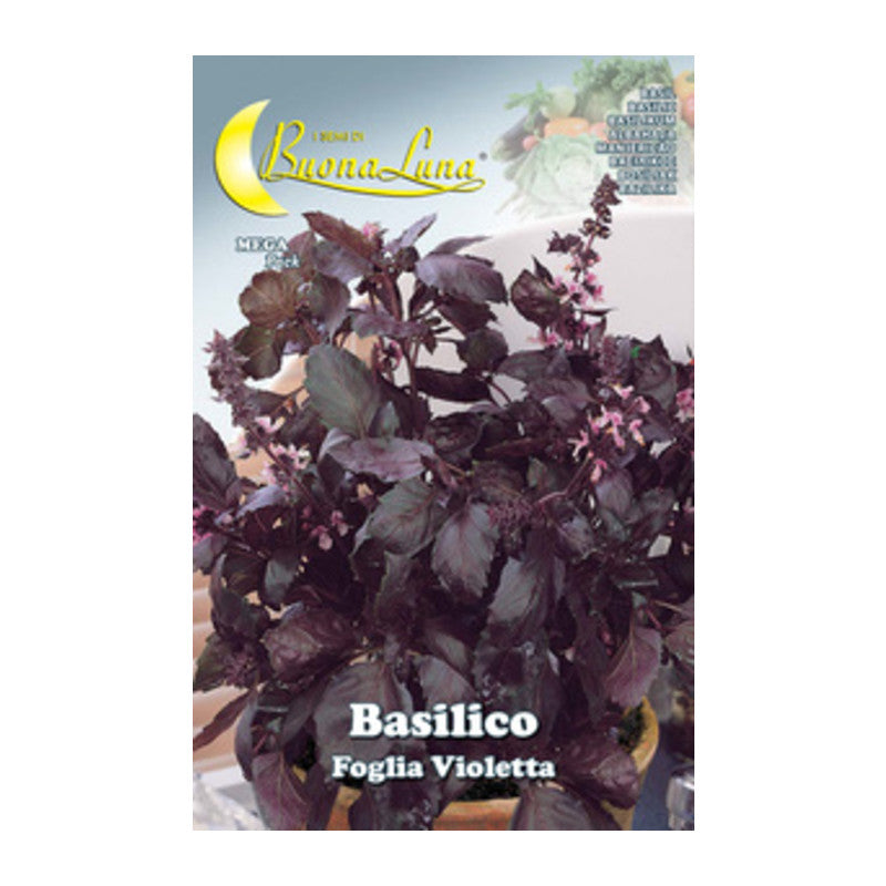 Q.TA' 10 SEMI ORTO BASILICO FOGLIA VIOLETTA