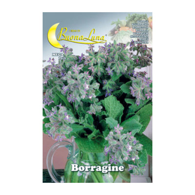 Q.TA' 10 SEMI ORTO BORRAGINE
