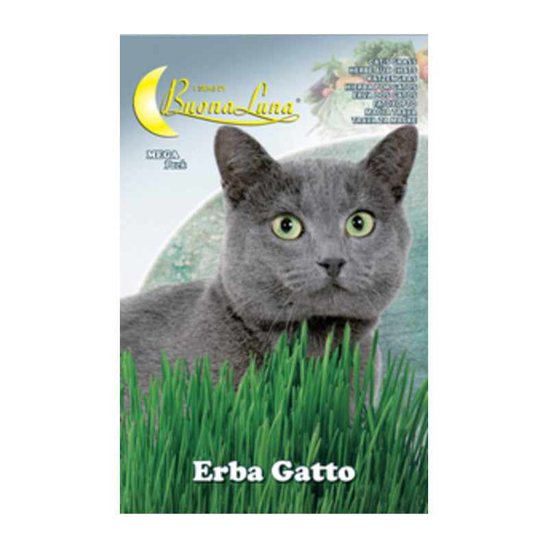 Q.TA' 10 SEMI ORTO ERBA GATTO