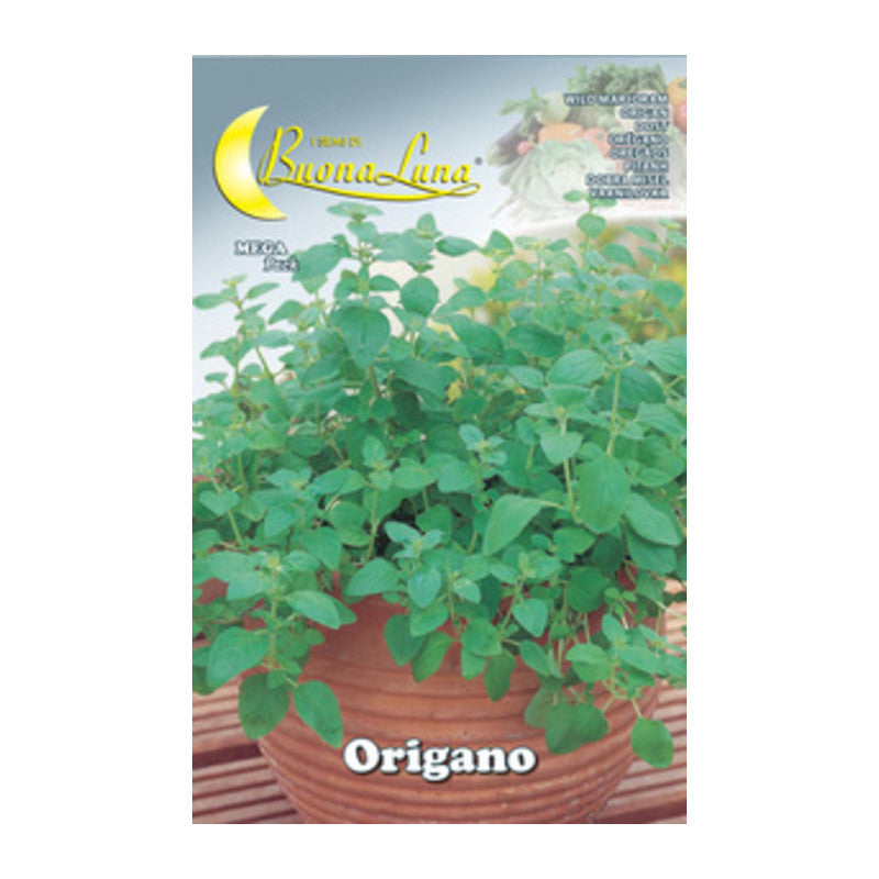 Q.TA' 10 SEMI ORTO ORIGANO