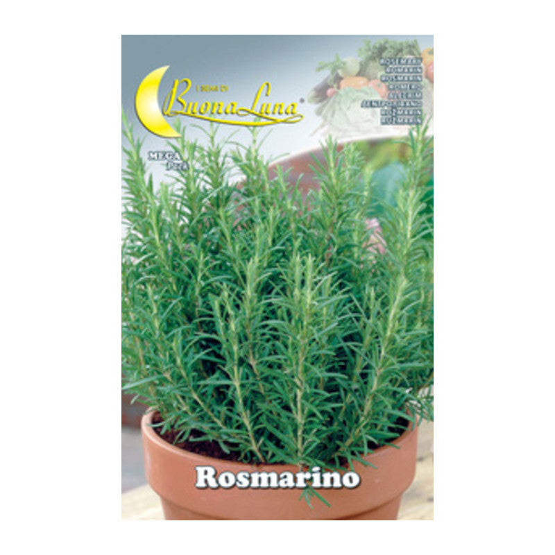 Q.TA' 10 SEMI ORTO ROSMARINO