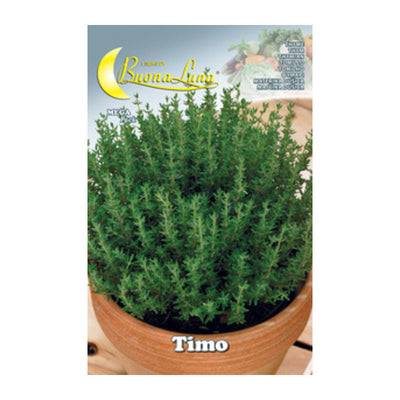 Q.TA' 10 SEMI ORTO TIMO