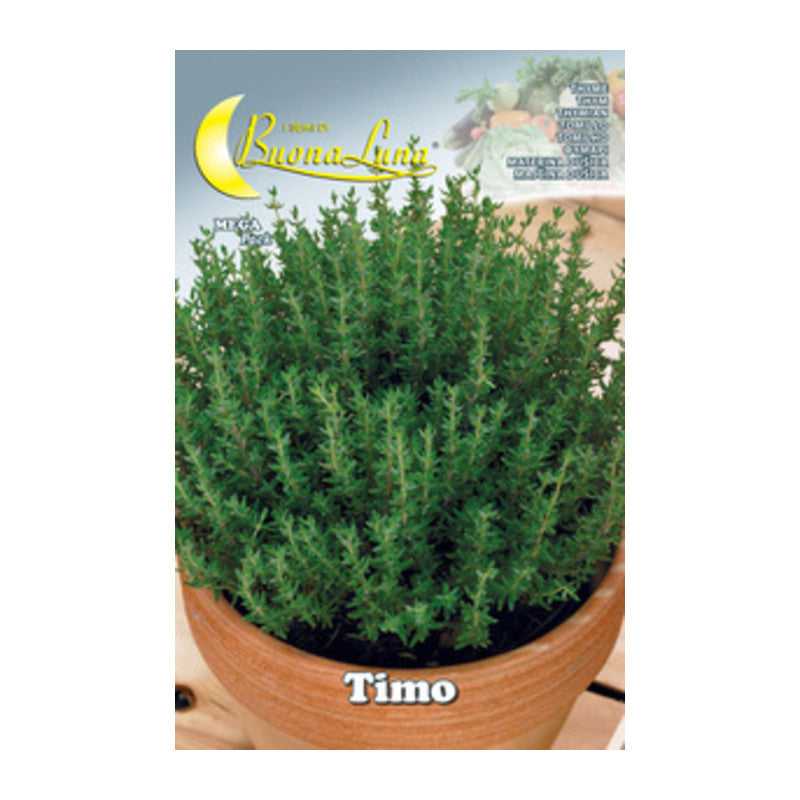 Q.TA' 10 SEMI ORTO TIMO