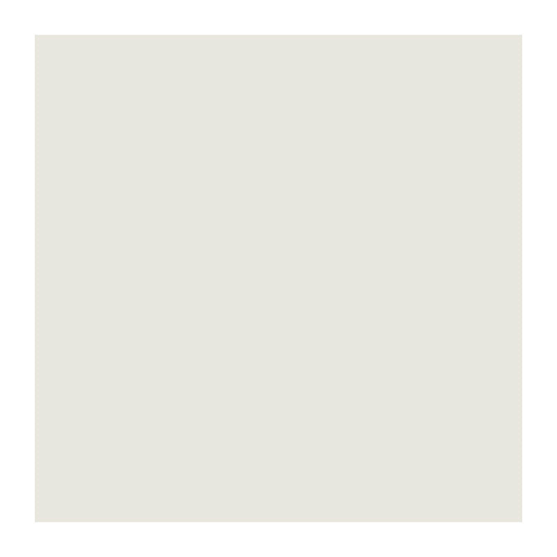 Q.TA' 10 DOGA RIVESTIMENTO PVC 260X10X1 CM BIANCO