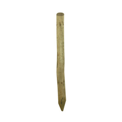 Q.TA' 1 PALO PUNTA IN PINO IMPREGNATO D 6XH250 CM