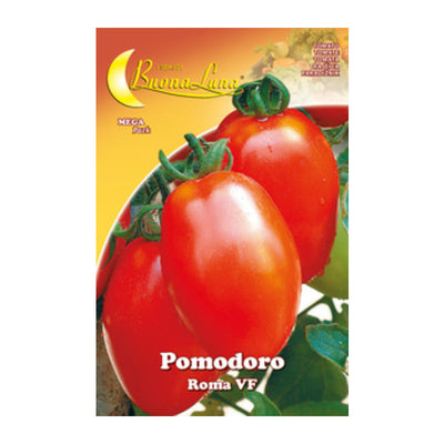 Q.TA' 10 SEMI ORTO POMODORO ROMA