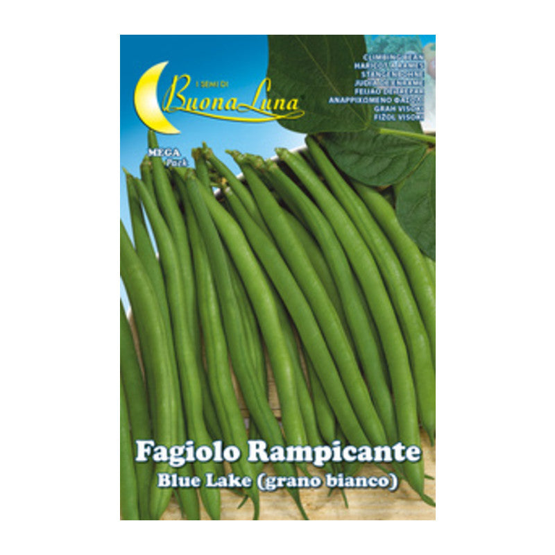 Q.TA' 5 SEMI ORTO FAGIOLI RAMPICANTI BIANCHI
