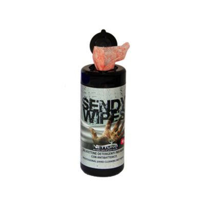 Q.TA' 1 SALVIETTE LAVAMANI SENDY WIPES 40