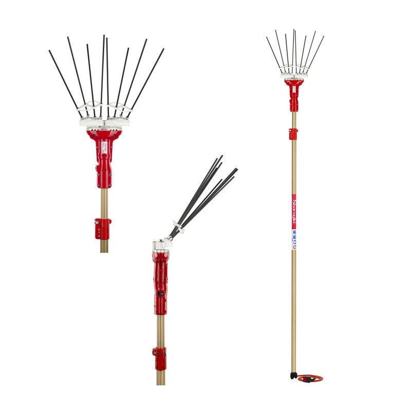 Q.TA' 1 ABBACCHIATORE 12V ADRIAN SBARAGLIA