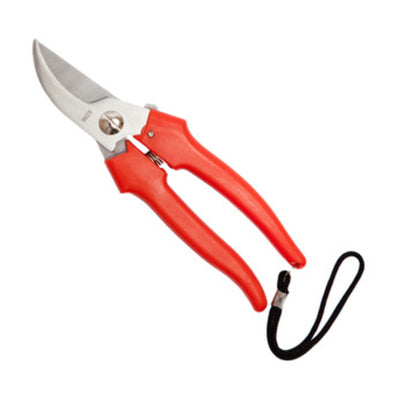 Q.TA' 1 FORBICI P/UVA FALCI INOX 19 CM