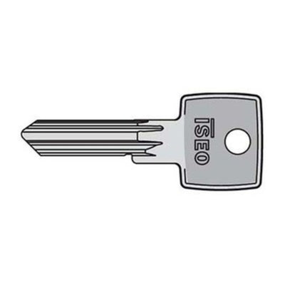 Q.TA' 1 ISEO 020609 CHIAVE GREZZA P/LUCCHETTO P240