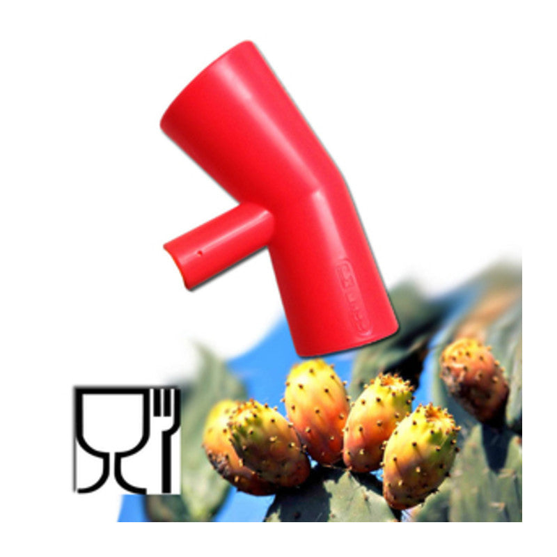 Q.TA' 10 RACCOGLI FICHI DINDIA