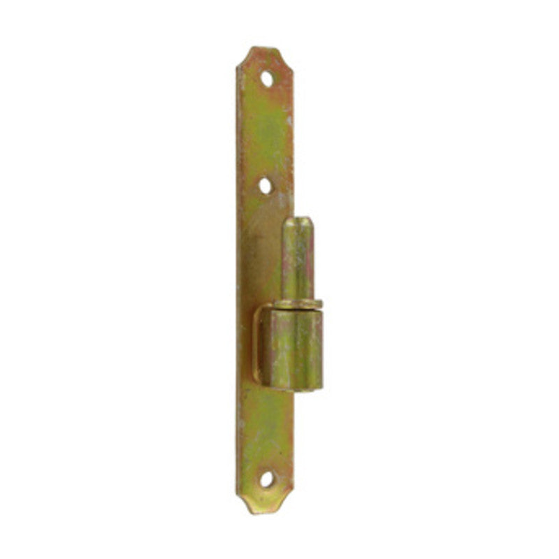 Q.TA' 24 CARDINE P/BANDELLA FERRO TROPICAL 24X180 MM
