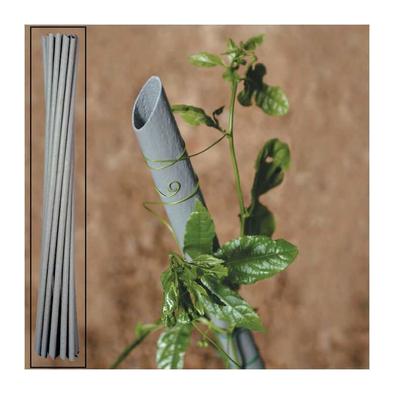 Q.TA' 20 CANNETTA PVC P/PIANTE VIGNA D 27XH230 CM